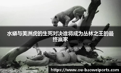 宝威体育